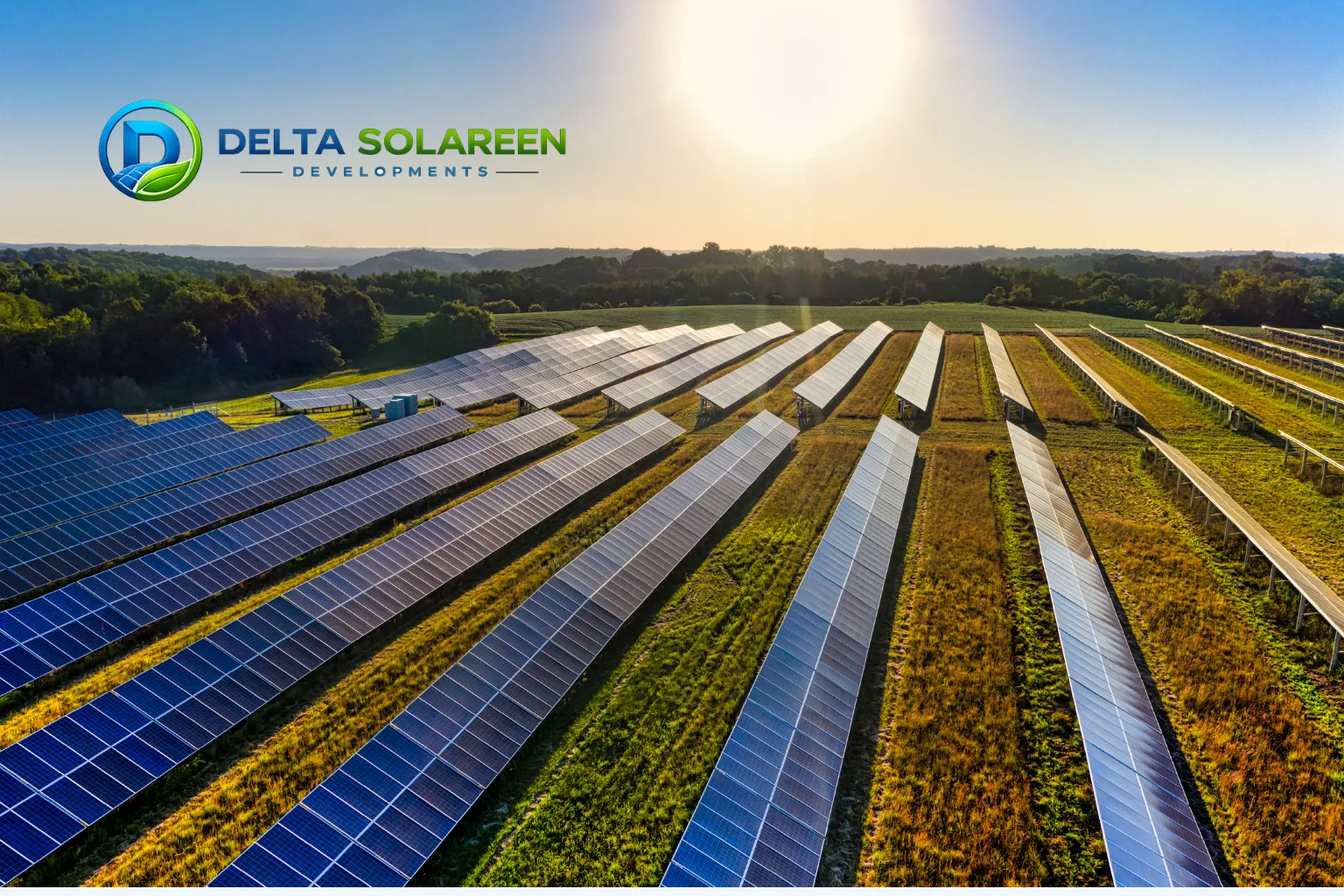 Our Sustainability